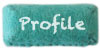 navi_profile